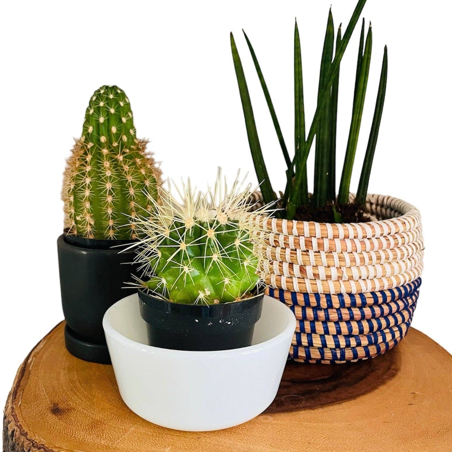 Senegal | Natural Basket | 2 sizes: 8”