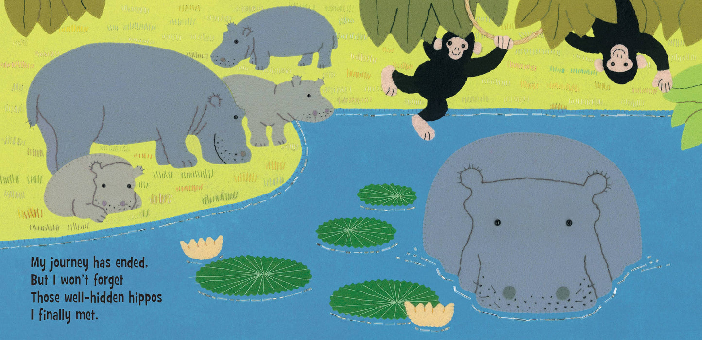Hidden Hippo: Board Book