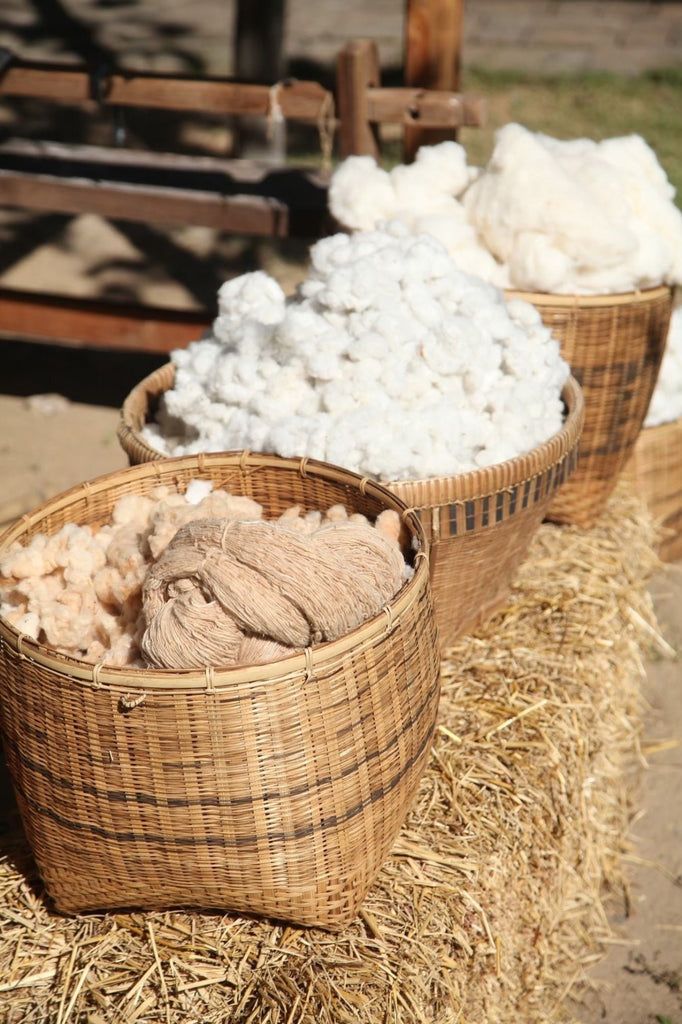 Woven From Nature: A Closer Look at Natural Fibres