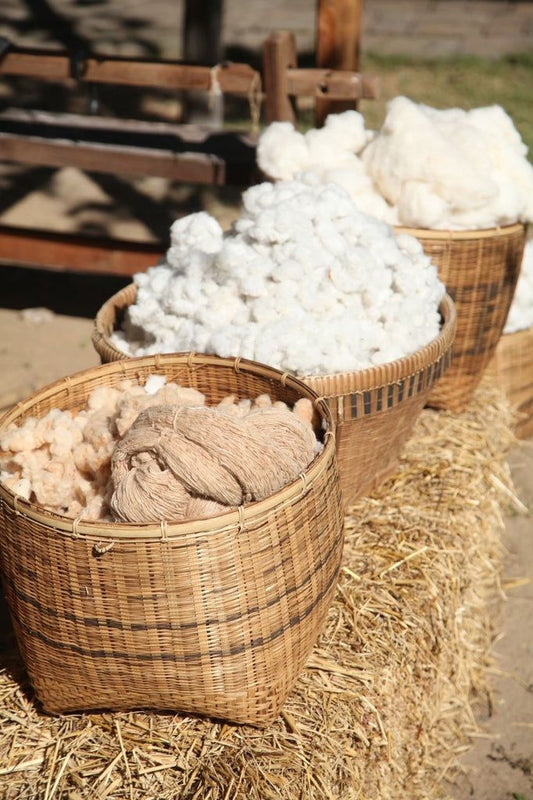 Woven From Nature: A Closer Look at Natural Fibres