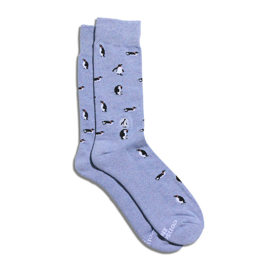 Socks that Protect Penguins | Ocean Gifts